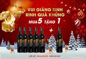 mua 5 tặng 1-Paradox