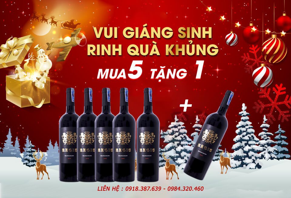 mua 5 tặng 1-Regis